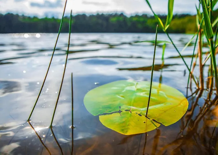 Apartment Rheinsberg